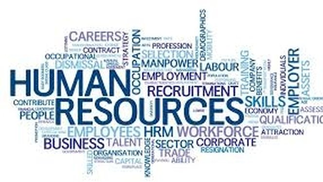 alt="Service de traduction pour les ressources humaines : comment choisir une agence de traduction spécialisée RH"